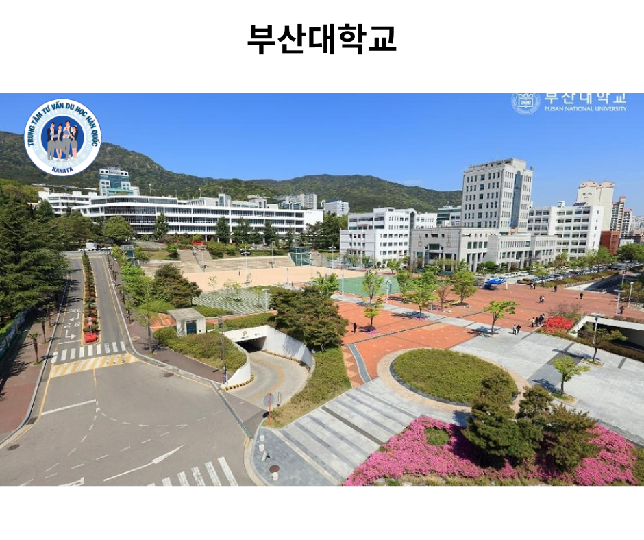 Trường Đại học Quốc gia Busan – 부산대학교