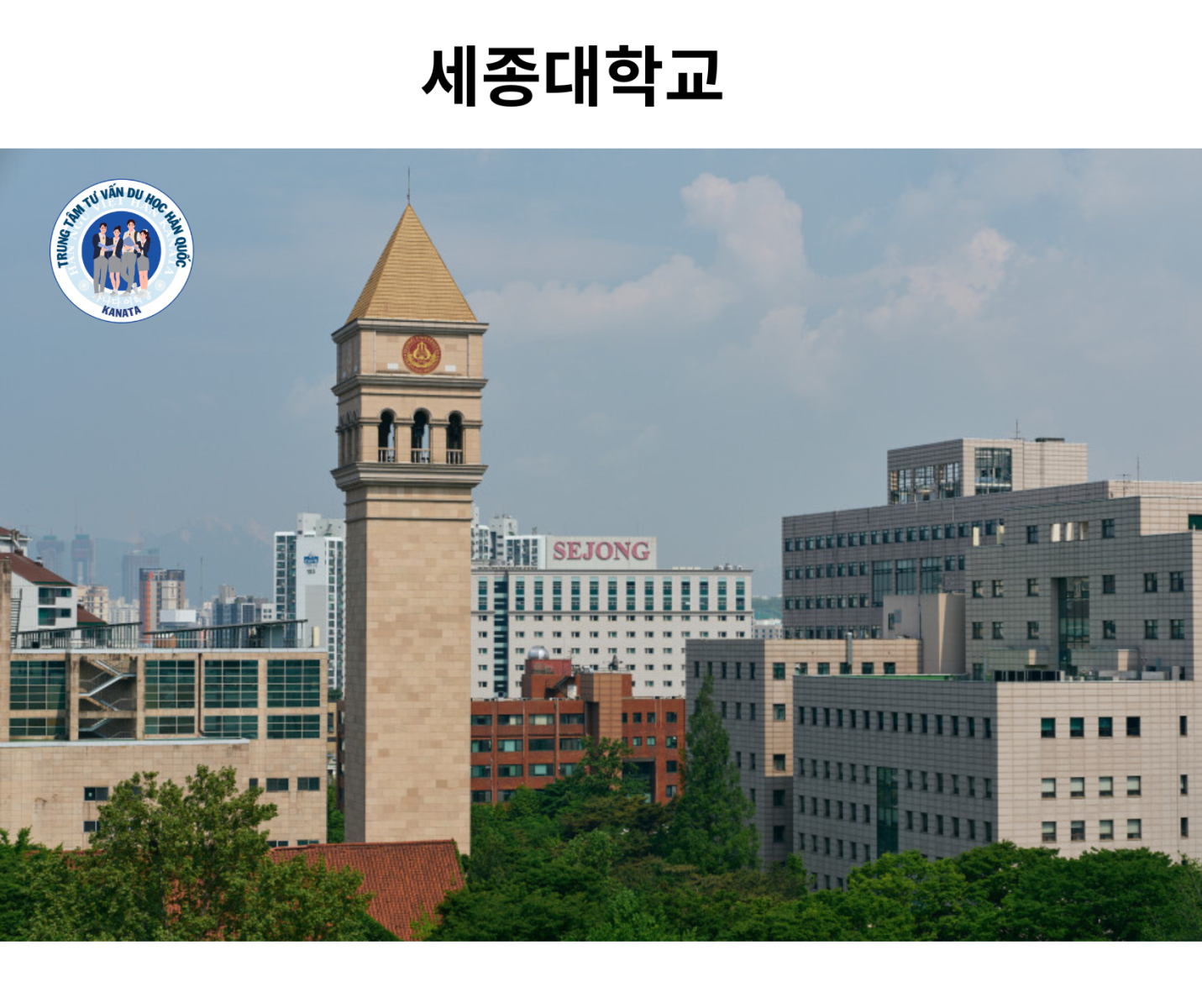 Trường Đại học Sejong (세종대학교)