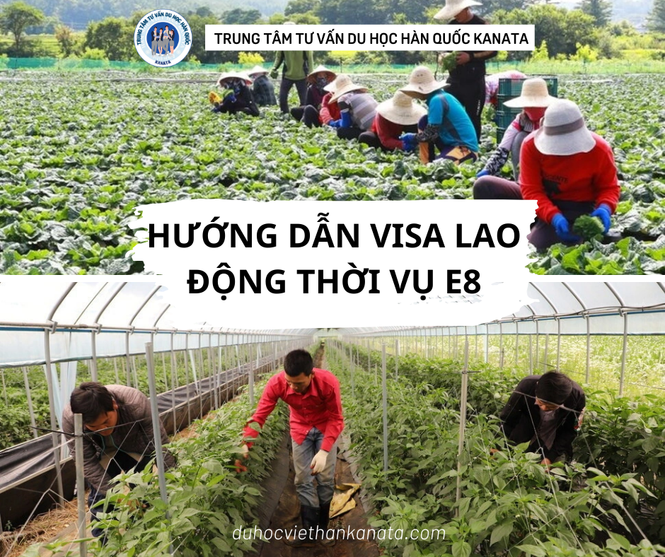 HƯỚNG DẪN VISA LAO ĐỘNG THỜI VỤ E-8